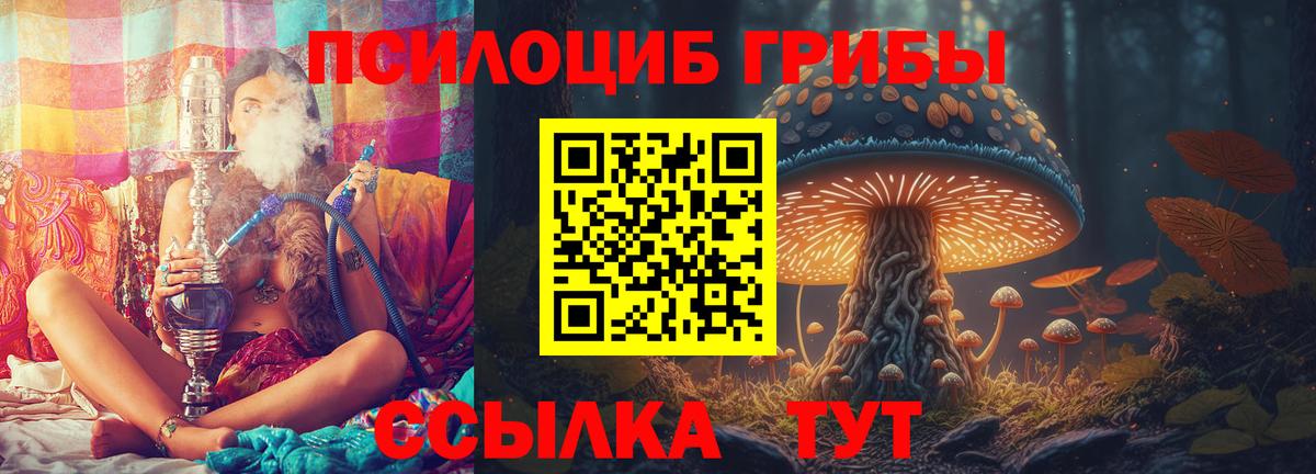 Псилоцибиновые грибы Cubensis Красногорск